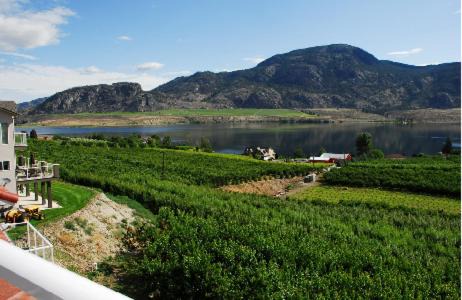 Osoyoos Apartment | Ciliegia Villa