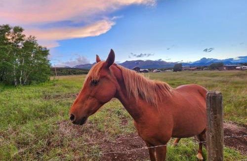 East Glacier Park Village Hotel | Circle R Motel