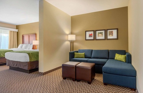 Florence Hotel | Comfort Inn & Suites Florence Center Area