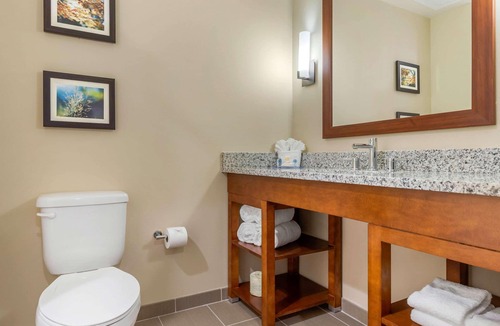 Florence Hotel | Comfort Inn & Suites Florence Center Area