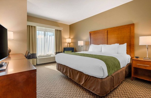 Florence Hotel | Comfort Inn & Suites Florence Center Area