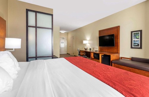 Florence Hotel | Comfort Suites Florence I-95
