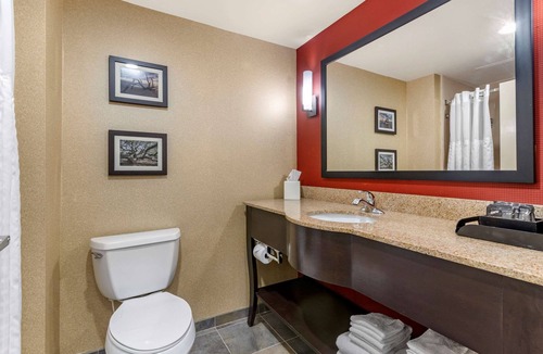 Florence Hotel | Comfort Suites Florence I-95