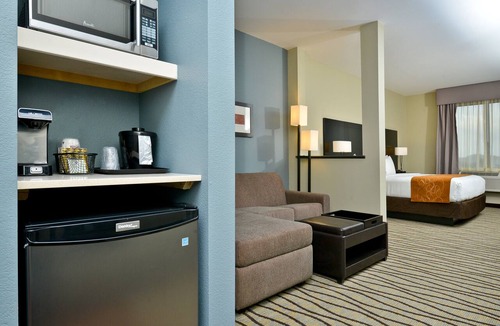 Chinatown Hotel | Comfort Suites near Westchase on Beltway 8