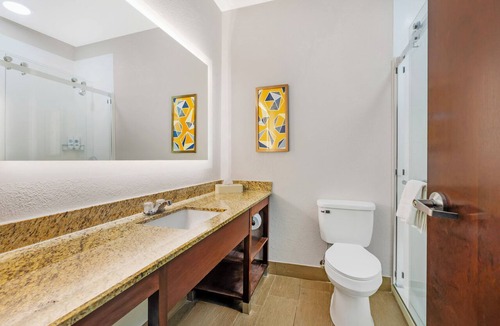 Sumter Hotel | Comfort Suites Sumter near Shaw AFB