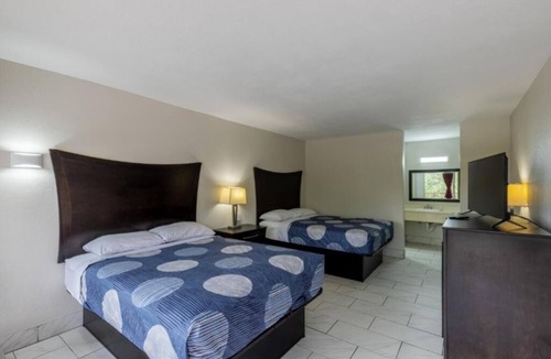 Beeville Hotel | Comfortable Pet-Friendly Room Near Beeville Restaurants w/Free Parking