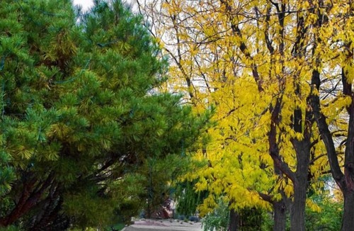 Southeast Boise House | Convenient Stay in Idaho! 3 Comfortable Units, Free Breakfast, Onsite Pool