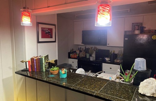 Turtle Creek Apartment | Cozy 1-bedroom apartment