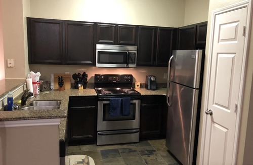 Texas Medical Center Apartment | Cozy 2 Bedroom Apartment in the Texas Medical Center