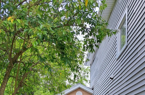 Florence Apartment | Cozy apartment in downtown revitalization district, close to medical facilities.