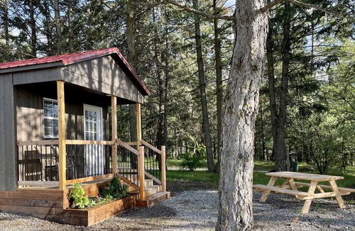 Post Falls Cabin | Cozy cabin in the trees