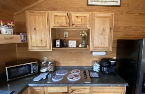 Wood County Cabin | Cozy Cabin with Panaromic View of Lake Holbrook