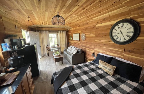 Proctor Cabin | Cozy Couples Cabin - Quiet Wilderness Stay - Illinois River