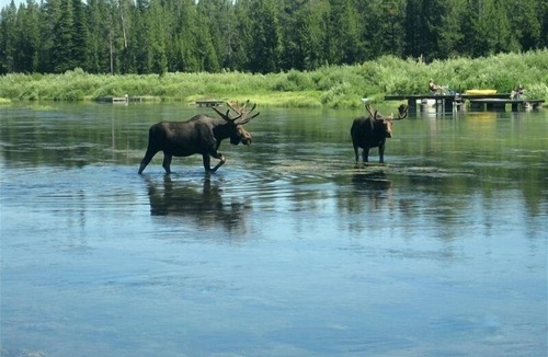 Island Park Cabin | Cozy Guest Cabin by Henry's Lake & Near Yellowstone