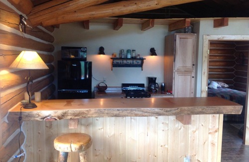 Salmon Cabin | Cozy log cabin set along Jesse creek within walking distance to downtown Salmon