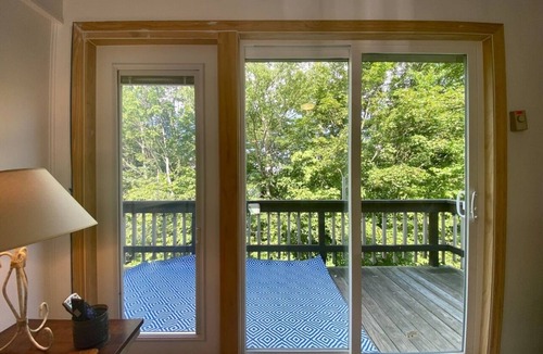 Beech Mountain Apartment | Cozy Pet-Friendly Studio! Land of Oz ! Festivals!