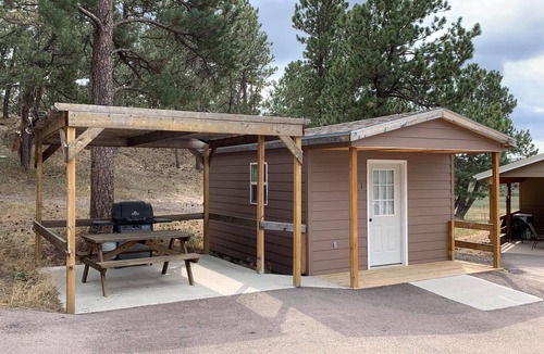Crook County Cabin | Cozy queen bed cabin with WiFi, fitness room in enchanting Aladdin