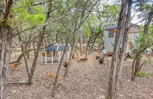 Austin Cabin | Cozy Tiny Nook in the Austin Hill Country-With Pool, HotTub, Firepit & animals!