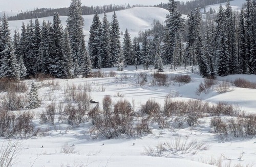 Bondurant House | Cozy Wyoming Retreat – Perfect for Families & Relaxation