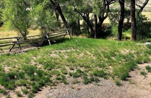 Cody Apartment | Creek Side Cabin #2- Wapiti Valley, steps from Trout Creek