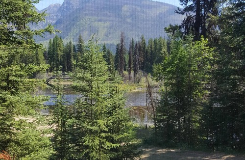 Condon Cabin | "Deer Leap" Rustic Cabin Hidden Among The Pines.