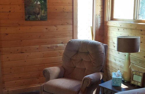 Condon Cabin | "Deer Leap" Rustic Cabin Hidden Among The Pines.