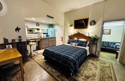 Salmon Hotel | Deluxe Single Queen Suite Futon & Kitchenette