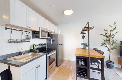 Evergreen Apartment | Dog Friendly condo with kitchen, patio & W/D - great location