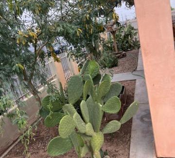 Downtown Phoenix House | Downtown Secluded Room 3