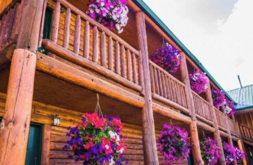 Last Chance Cabin | Economy Lodge Room - Single Queen