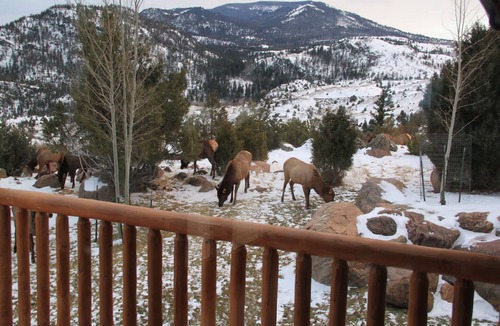 Emigrant House | Elk Run Ranch…Come enjoy the breath taking views of Paradise Valley & YNP