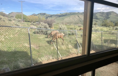 Gardiner Cabin | Elk View Cabin