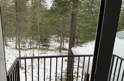 Bonner County House | Entire guesthouse, quiet wooded area of Cocolalla