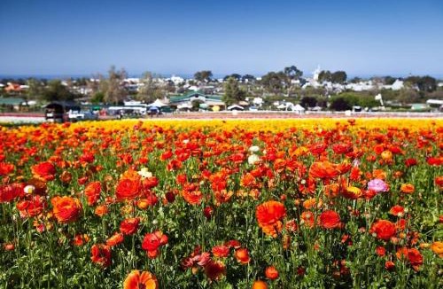 Carlsbad Apartment | Expansive Ocean View, Private Balcony, Across from Beach