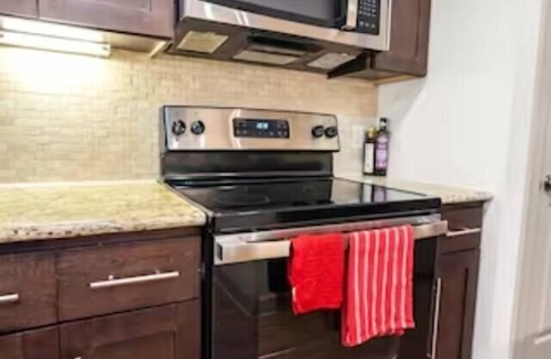 Astrodome Apartment | Major international sporting event Stay | 5-Min Drive to NRG Stadium | Sleeps 4
