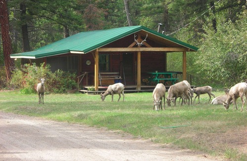 Clinton Cabin | FISHERMANS CABIN UP ROCK CREEK 30 MINUTES FROM MISSOULA MONTANA