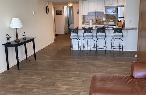North Pacific Beach Condo | floor to ceiling windows,180 degree view of ocean, 11th floor