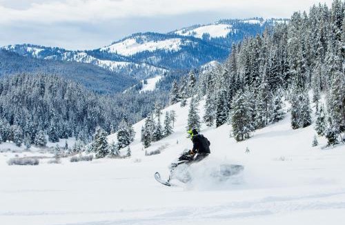 Alpine Cabin | Flying Saddle Resort and Steak House