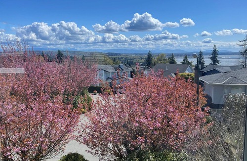 White Rock Apartment | Full advantage of 180 degree PANORAMIC view of OCEAN & MOUNT BAKER