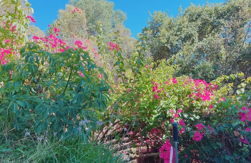 Mount Wilson House | Gated Guest Place(private entrance)1 free parking