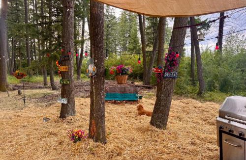 Columbia Falls House | Glacier Park Hideaway