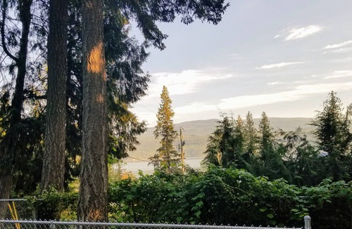 Anglemont House | Great view !! Grape Vine Near The Lake a must see .