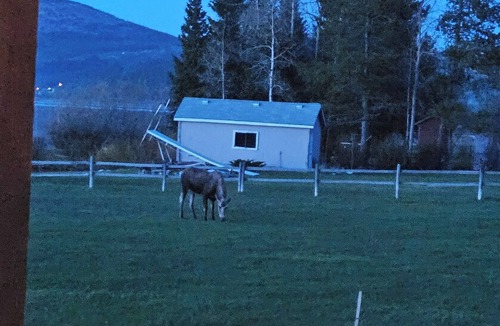 Georgetown House | GTL Lodge and Retreat - Modern Luxury Meets Montana for Your Perfect Getaway