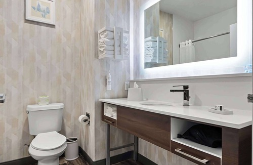 Seguin Hotel | Hampton Inn Seguin