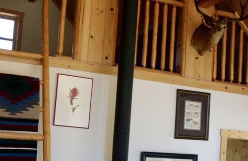 Moran Cabin | Hide away in Teton National Forest, Secluded, Peaceful & Serene
