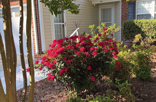 James City House | Historic New Bern, toward NAS Cherry Point. House is fully equipped