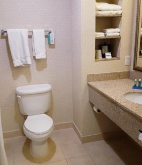 Twin Falls Hotel | Holiday Inn Express Hotel Twin Falls by IHG
