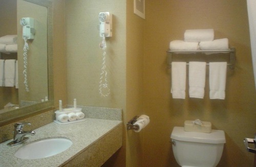 Sunbury Hotel | Holiday Inn Express Hotel & Suites Delaware-Columbus Area by IHG