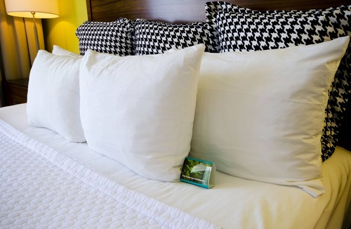 Columbus Hotel | Hotel Indigo Columbus Architectural Center by IHG
