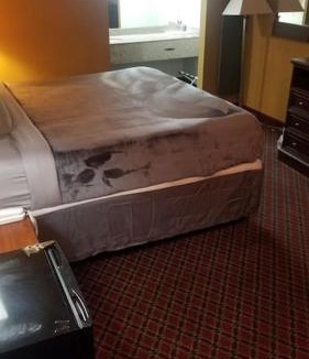 Stillwater Apartment | Hotel King Bed Room 236 Booking